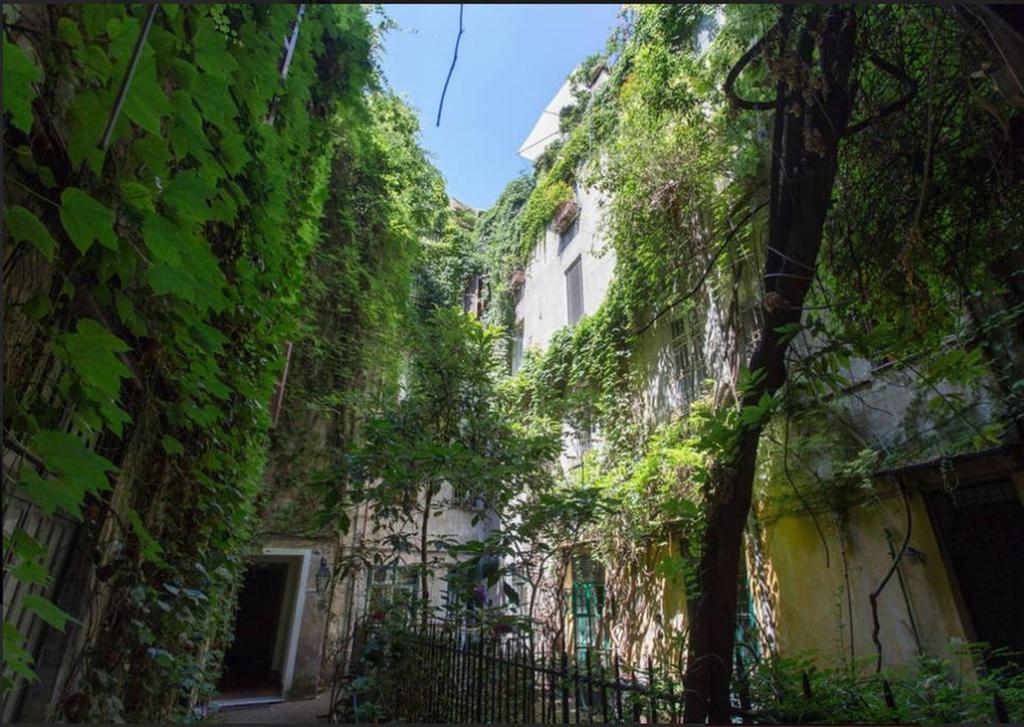 Mammamia Daire Roma Oda fotoğraf